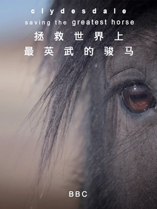 带着魔术盒的男人